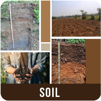Soil 0